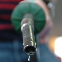Fuel costs 'holding firms back'